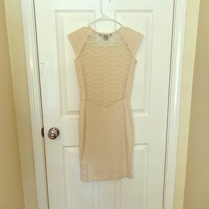 French Connection Scalloped Lace Dress